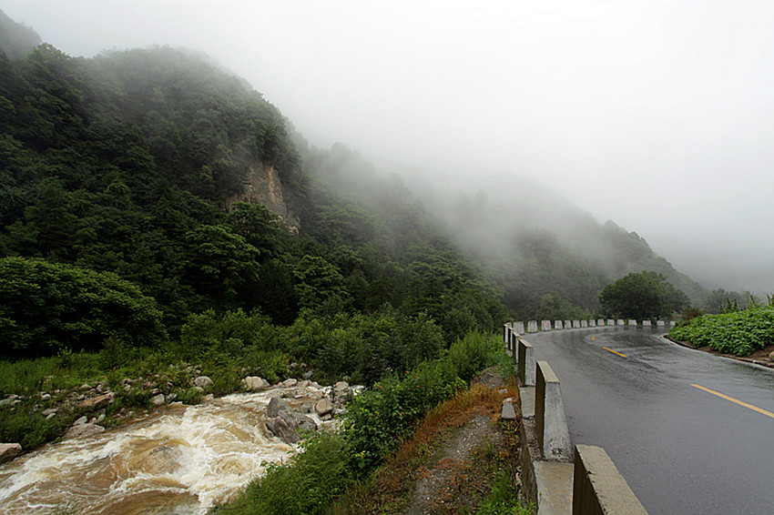 渭河 090_副本.jpg