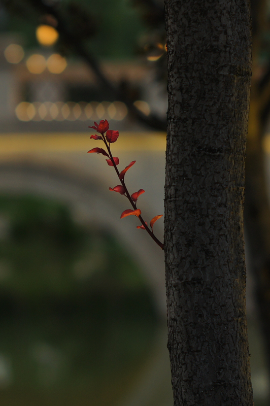 DSC00151_副本.jpg