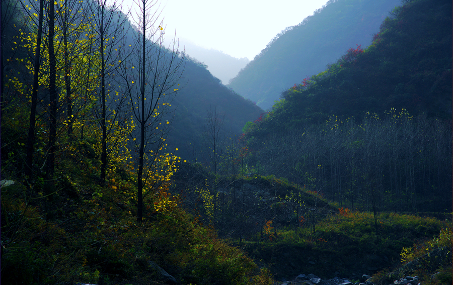 _DSC6139_副本.jpg