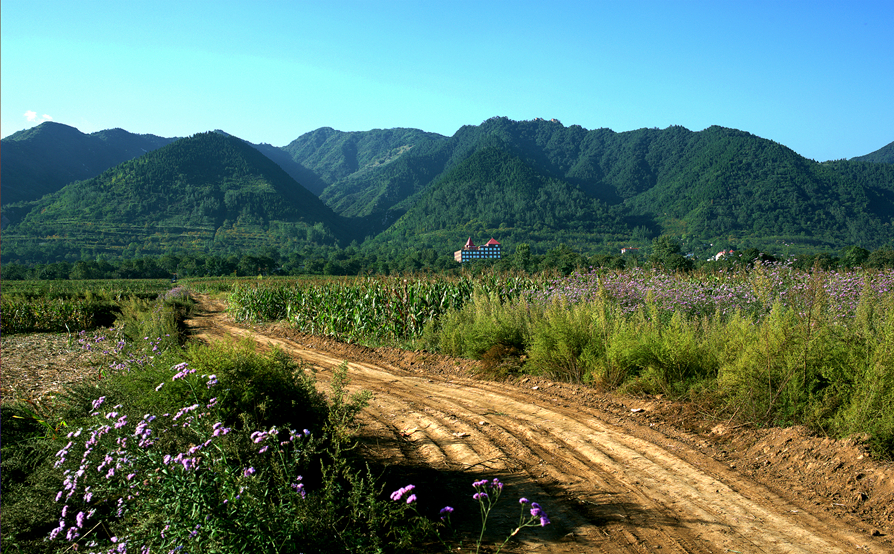 复件 _DSC4946_副本.jpg