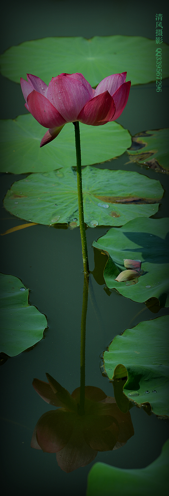 DSC_6641_副本.jpg