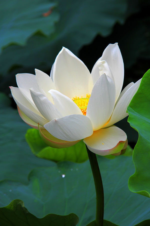 IMG_6800_副本_副本.jpg
