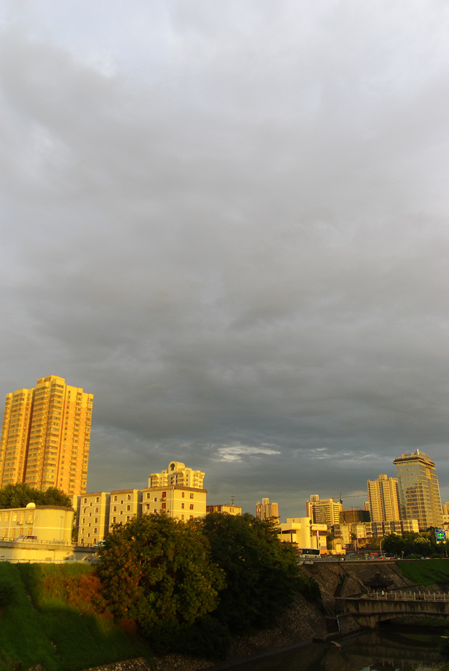 IMGP8854.jpg
