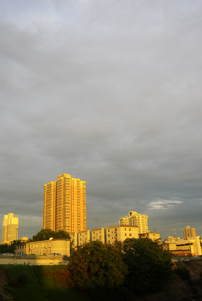 IMGP8856.jpg