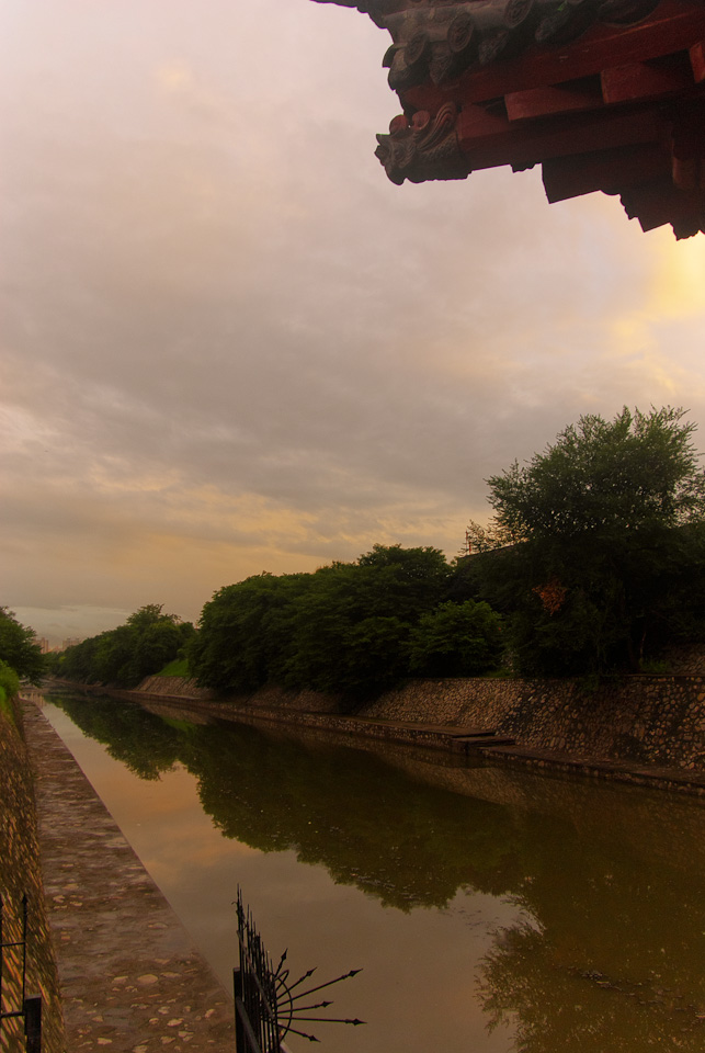 IMGP8872.jpg