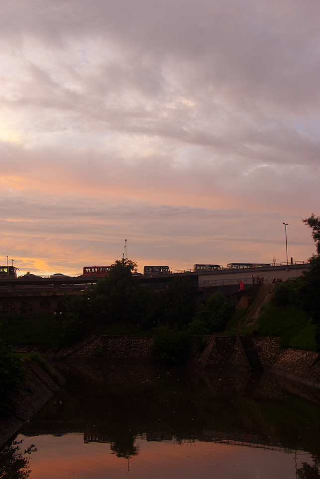 IMGP8895.jpg
