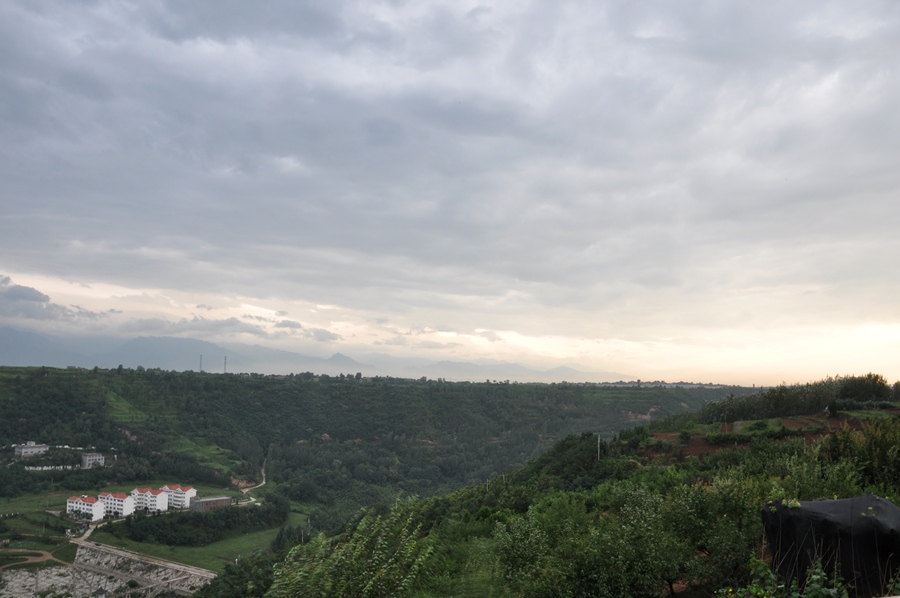 DSC_3100_副本.jpg