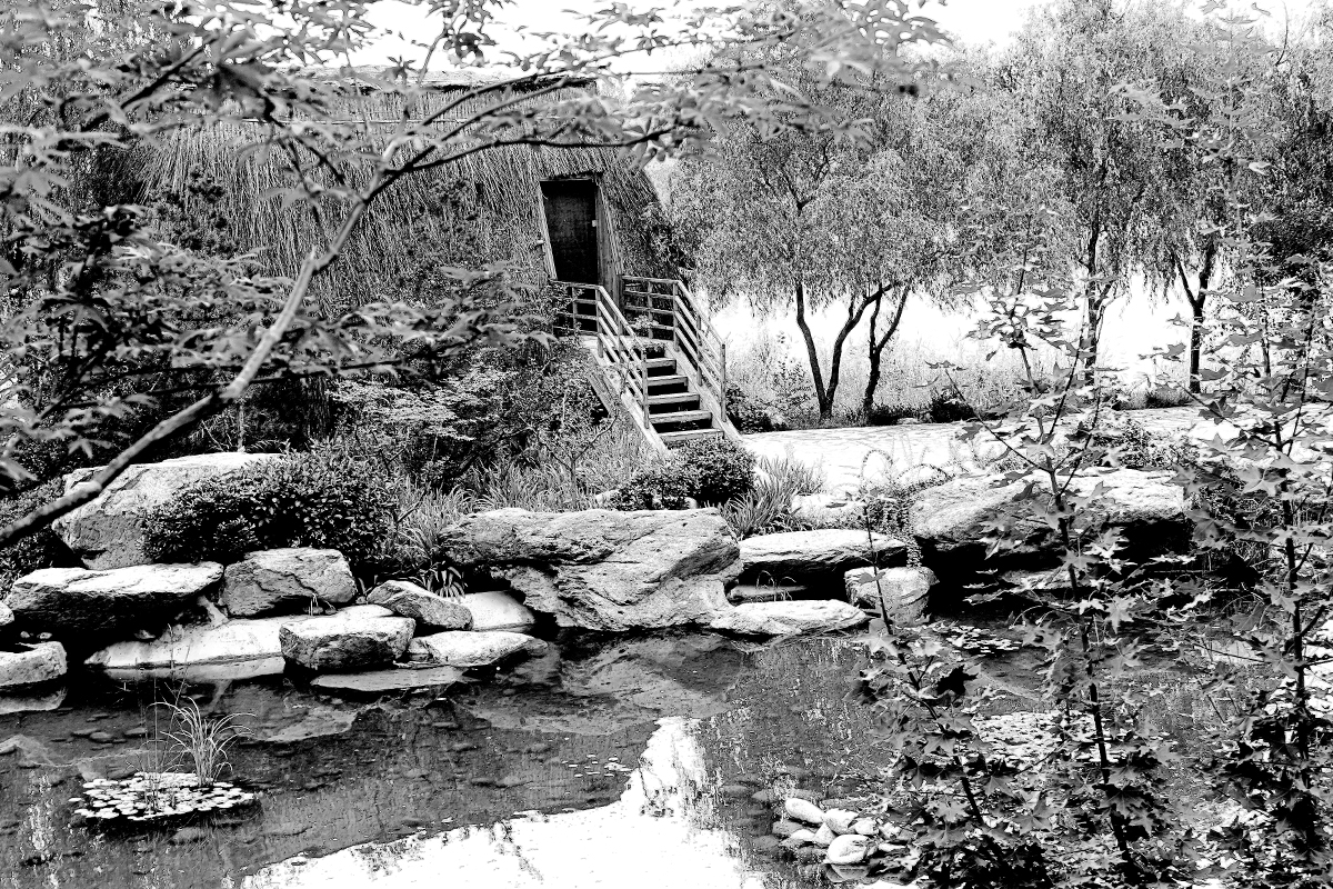 _MG_3773.jpg