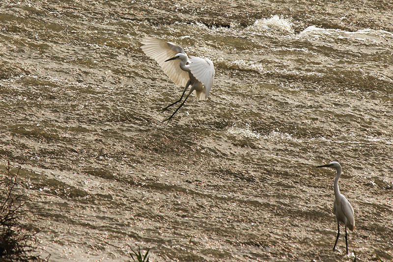 IMG_4527_副本.jpg