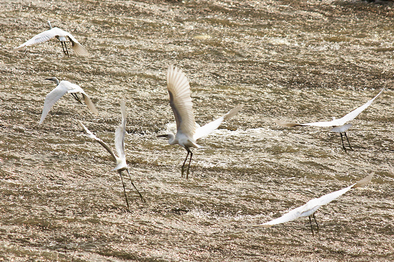 IMG_4537_副本.jpg