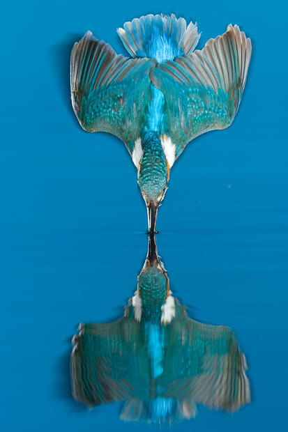 reflection_1600089i.jpg