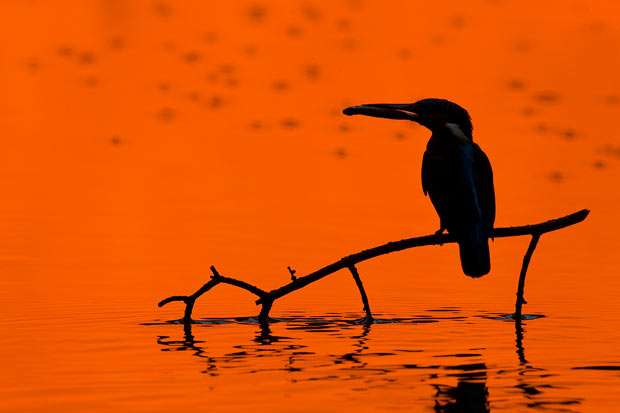 sunset_1600071i.jpg
