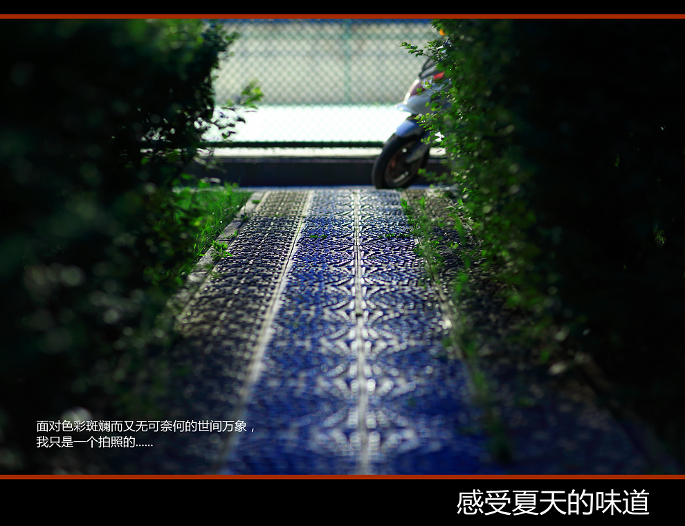 麻豆豆000369_副本.jpg