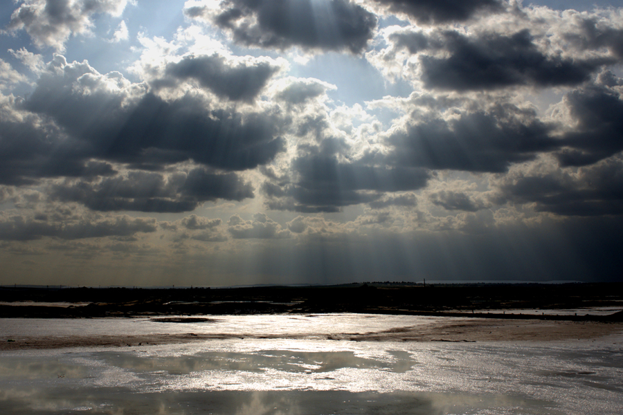 DSC_02066.jpg