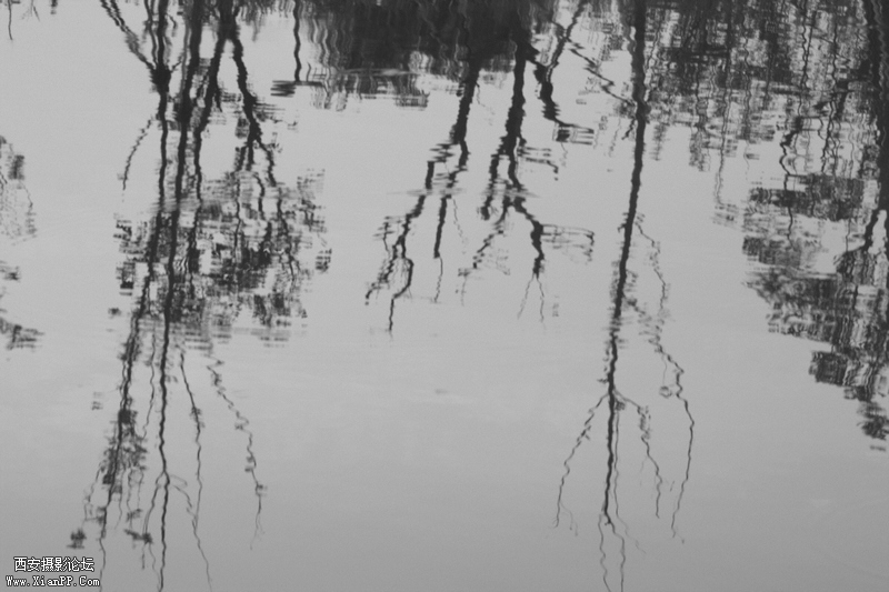 _MG_5601.jpg