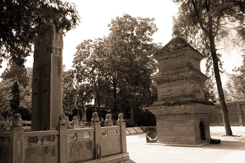 IMG_4858_副本.jpg