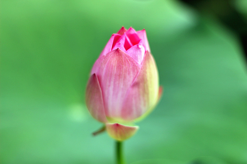 IMG_4805_副本.jpg