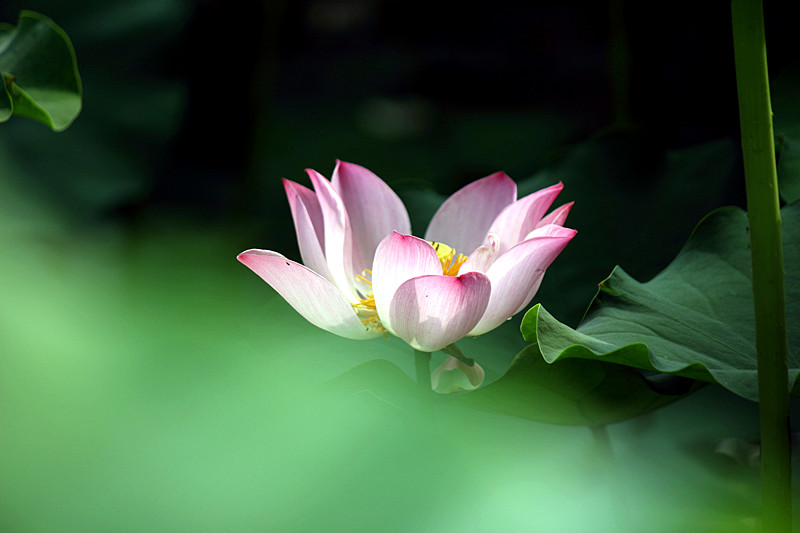 IMG_4788_副本.jpg
