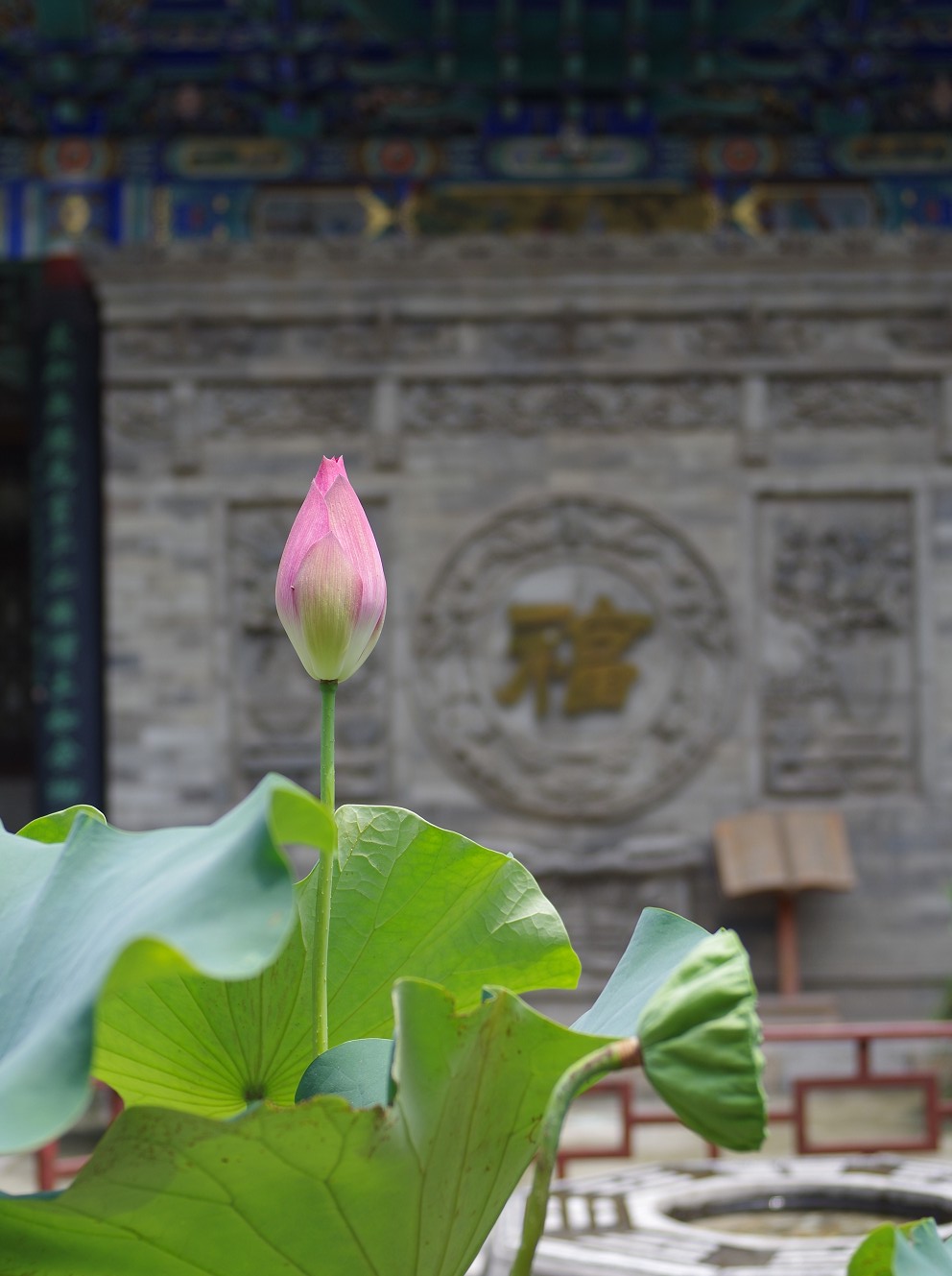 QQ截图20130727201940.jpg