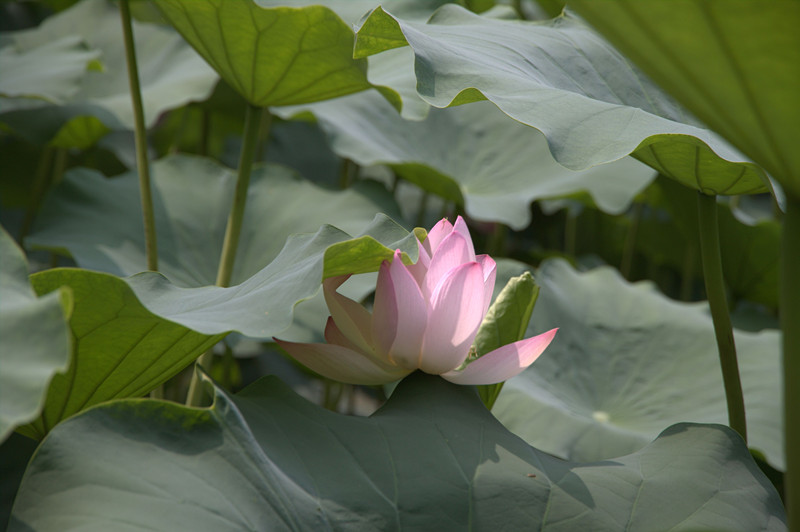 IMG_3325_副本.jpg