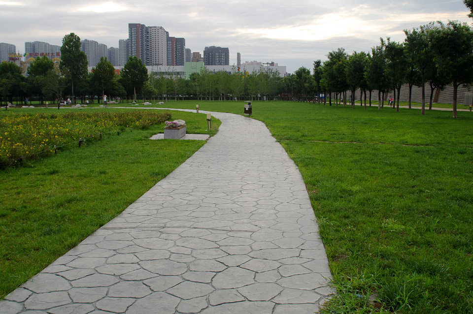 IMGP9936.jpg