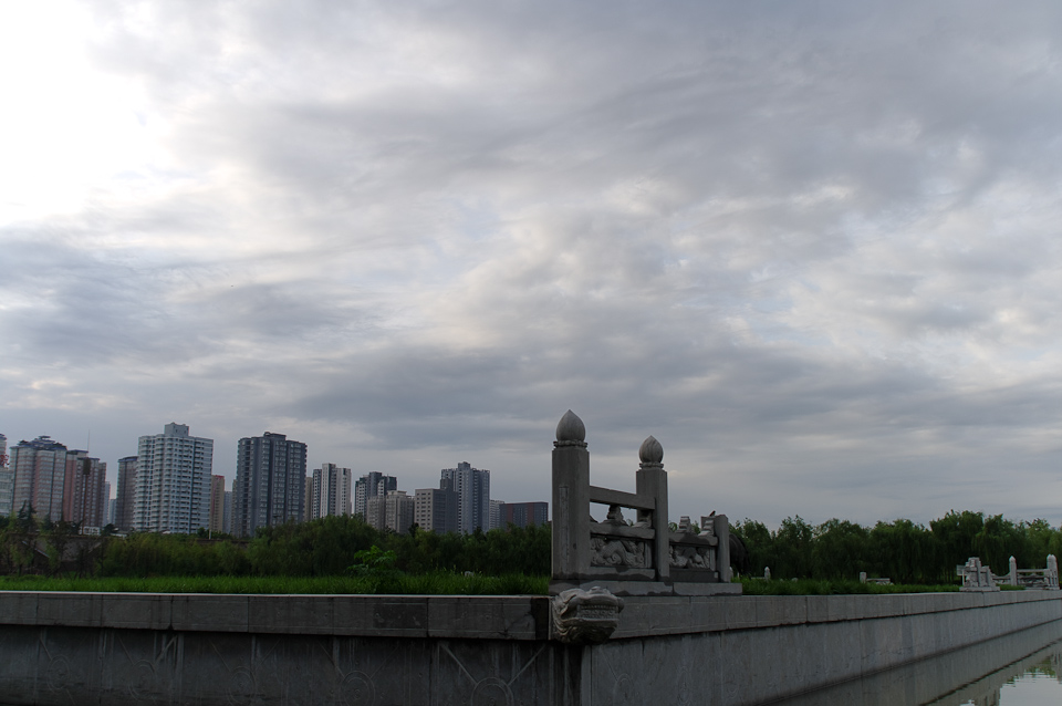 IMGP9943.jpg