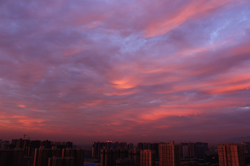 IMG_5203_副本.jpg