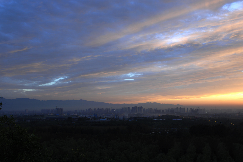 D2X_8771.jpg
