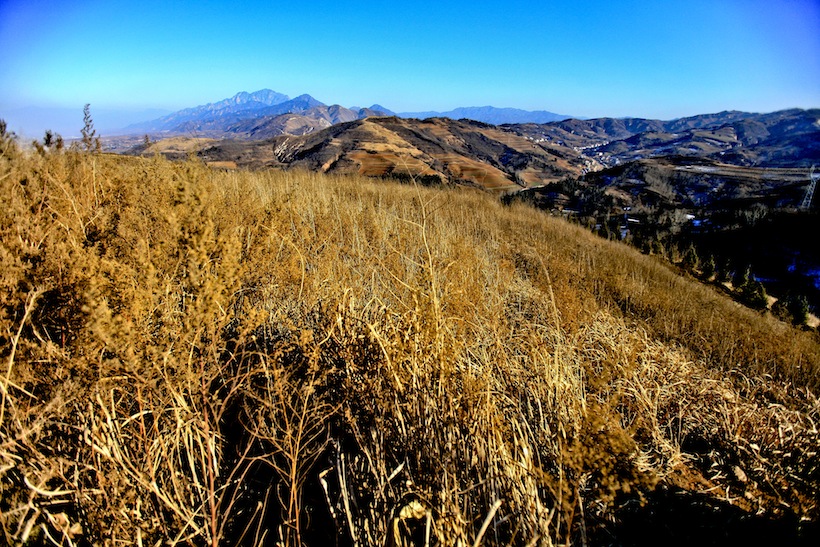 IMG_9585.jpg