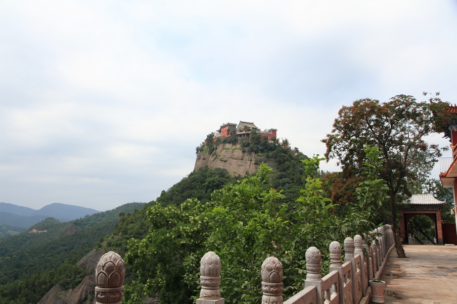 植物园207.jpg