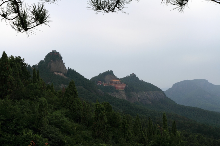 植物园197.jpg