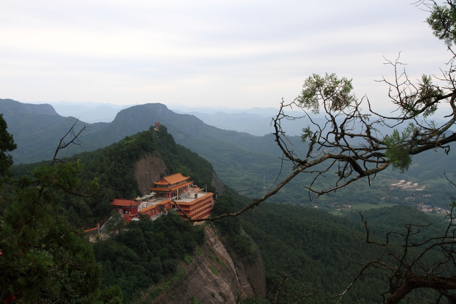 植物园204.jpg