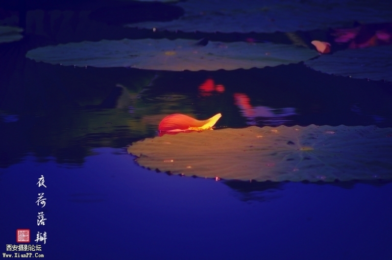 200920s7qhj3dhqlwkkjka.jpg