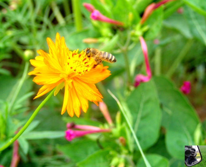 DSC09216_副本.jpg