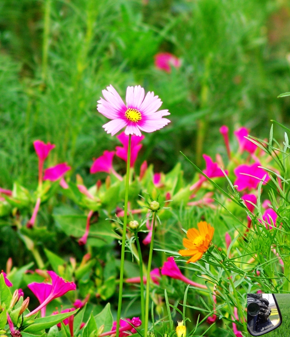 DSC09225_副本.jpg
