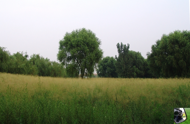 DSC09237_副本.jpg