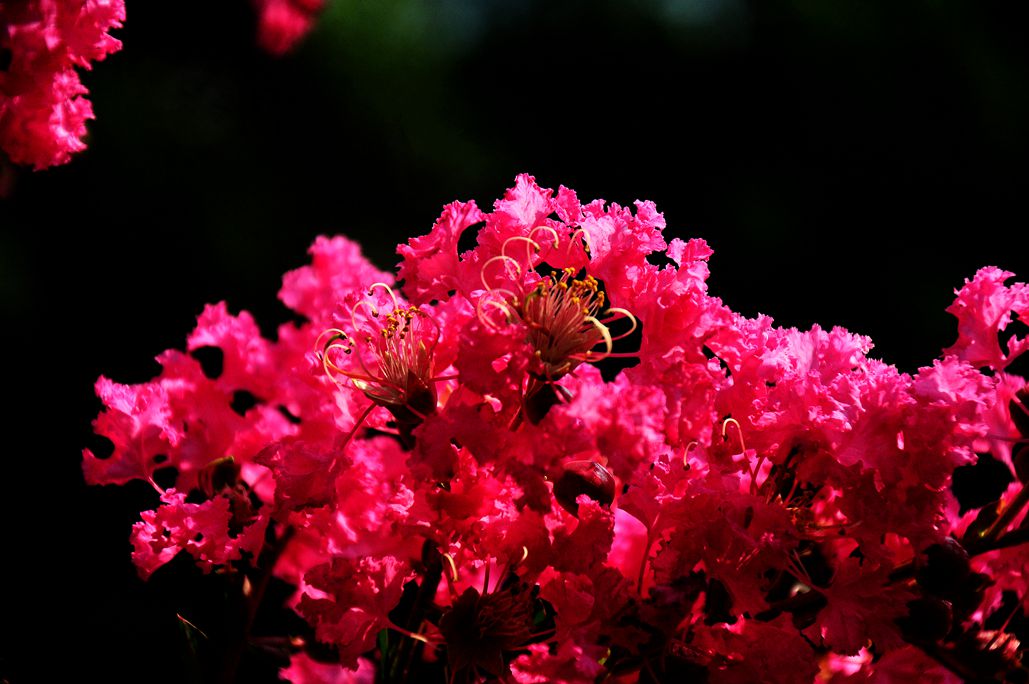 DSC_0791.jpg