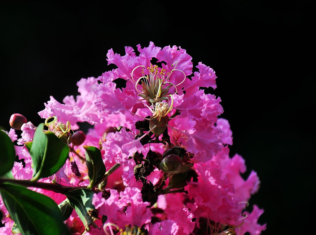 DSC_0864.jpg