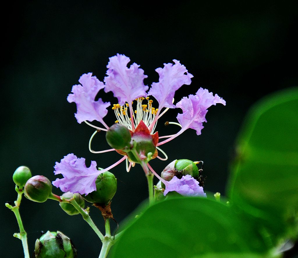 DSC_0907.jpg
