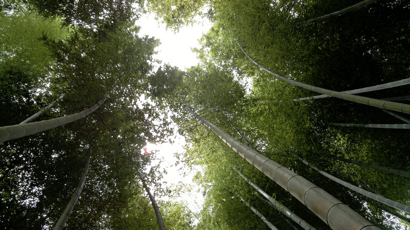 20130711_122318_副本.jpg