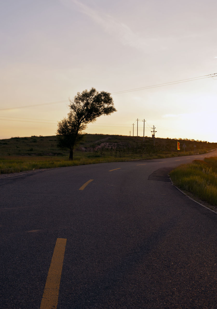 DSC_5581a.jpg