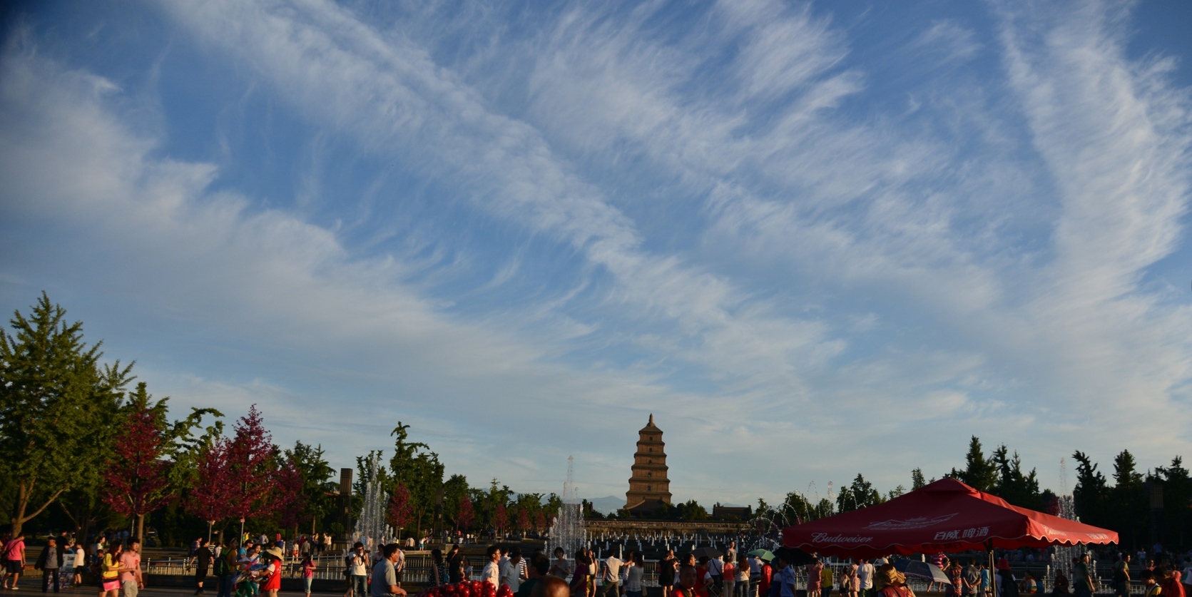 DSC_5808.JPG