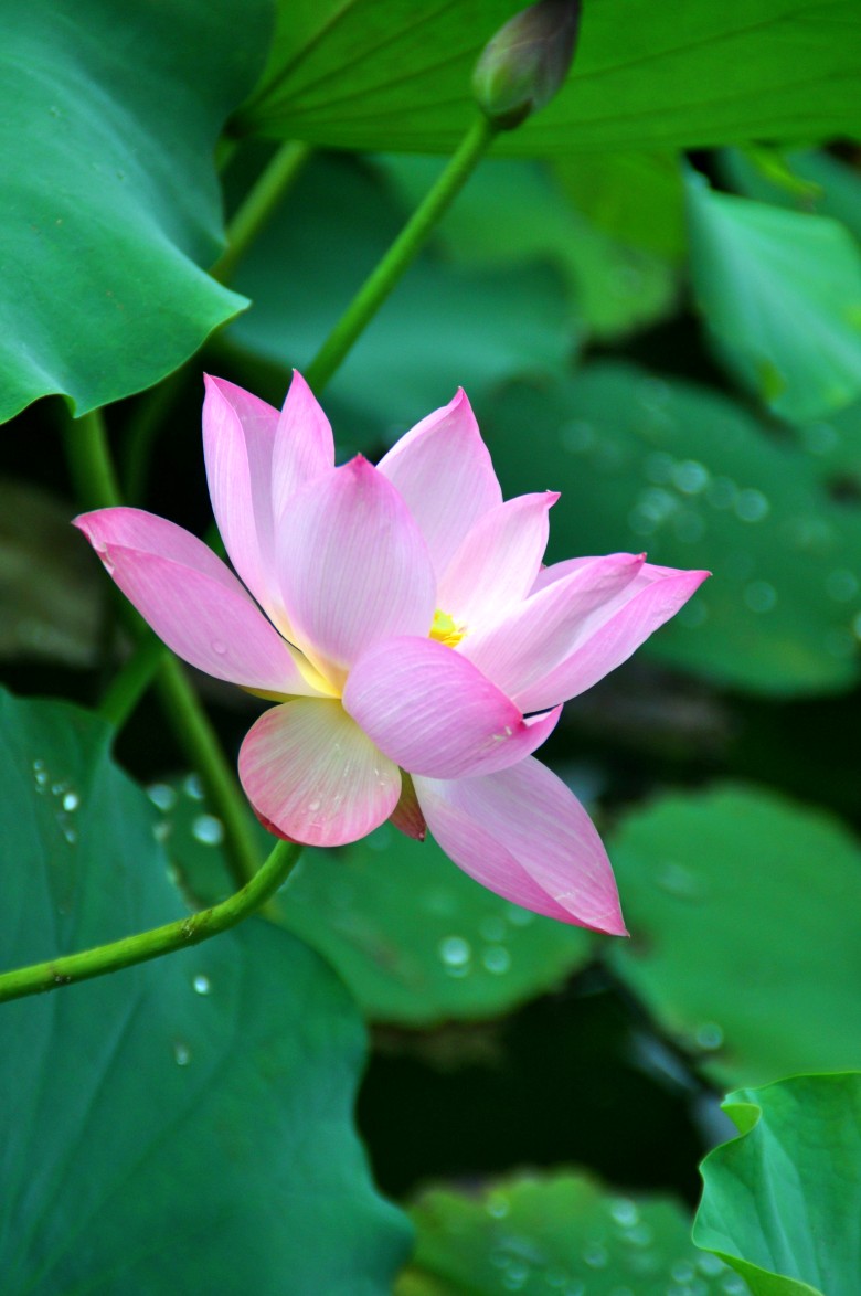 DSC_0836_conew1.jpg