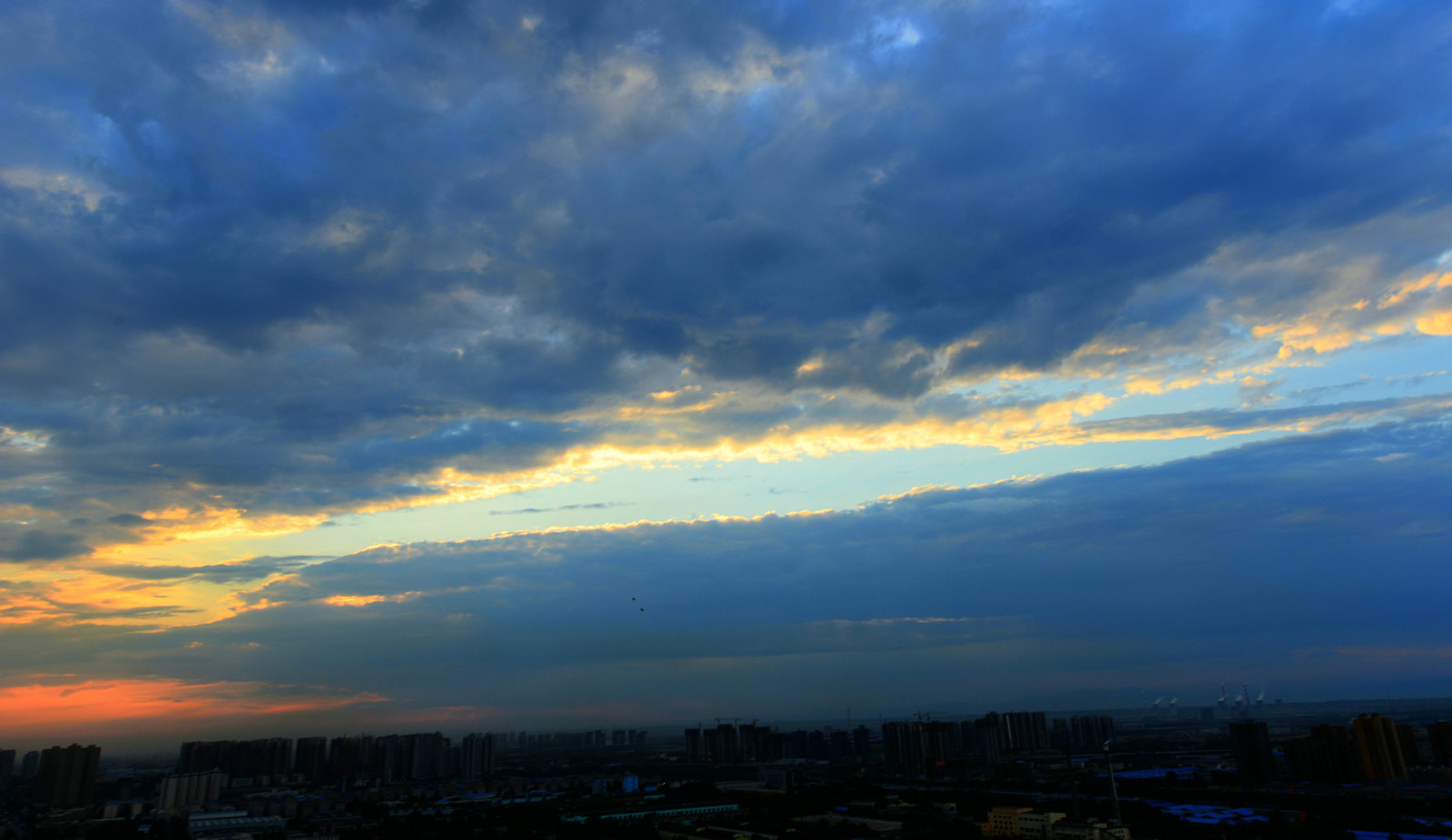 DSC_49881.jpg