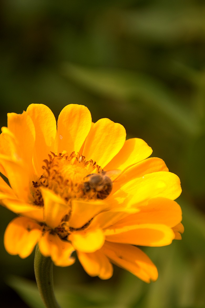 DSC_0889_conew1.jpg