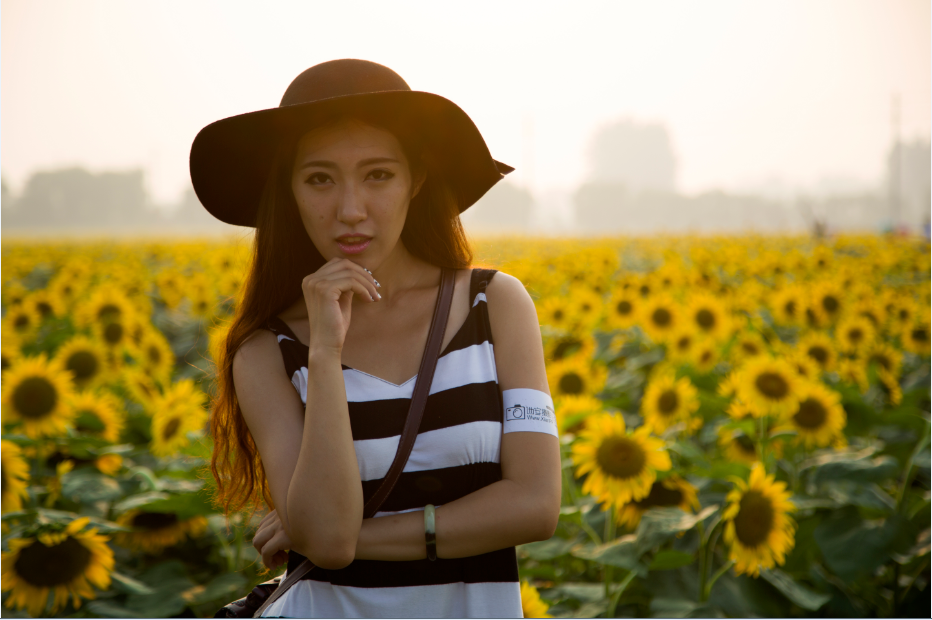 葵花海中的丽影.png