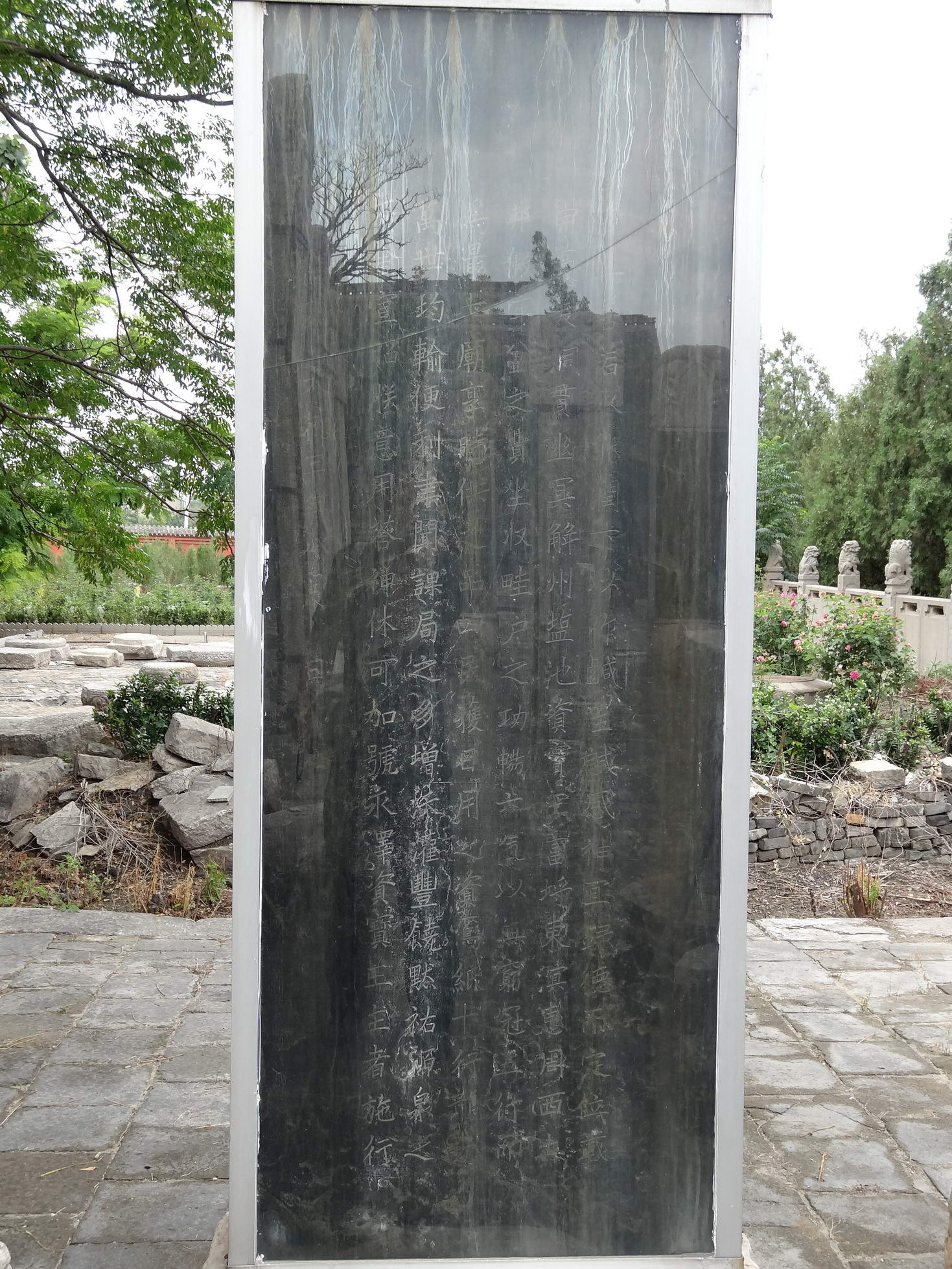 DSC02177_调整大小.jpg