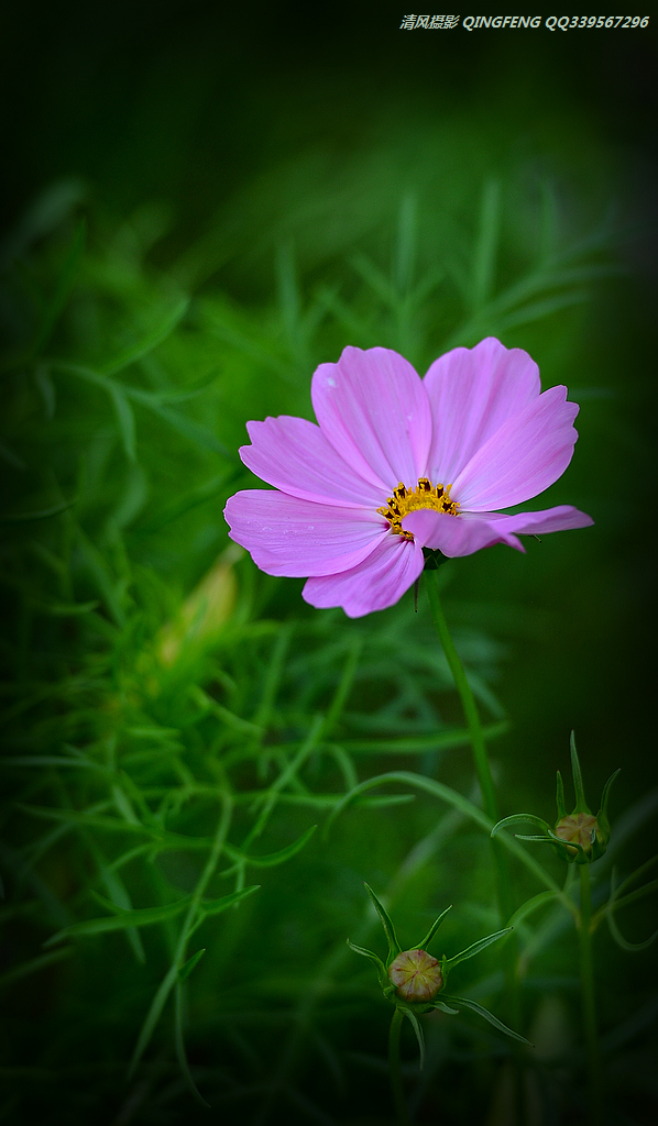 DSC_8164.jpg