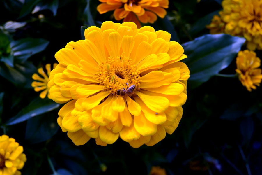 DSC_1222.jpg
