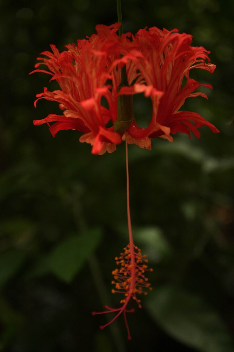 照片2013 172.jpg